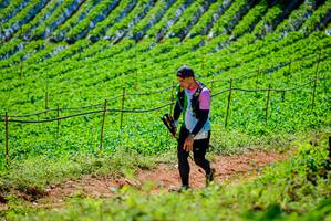 BIB: 
                            <button type="button" onclick="openModal(19163476)" class="btn btn-primary btn-sm float-right btn-popup" data-toggle="modal" data-target=".modal-high-quality">
                        <i class="fas fa-shopping-cart"></i> Add to Cart
                    </button>
                                            <button type="button" onclick="isThisMe(19163476, true)" class="btn btn-success btn-sm float-right btn-popup btn-isme hidden" data-toggle="tooltip" data-placement="bottom" title="นี่คือรูปของคุณใช่ไหม คลิกที่นี่เพื่อเอาเข้าอัลบั้ม">
                        <i class="fas fa-plus"></i> Add to album
                    </button>
                    <button type="button" onclick="isThisMe(19163476, false)" class="btn btn-warning btn-sm float-right btn-popup btn-isnotme hidden">
                        <i class="fas fa-ban"></i> Remove from album
                    </button>